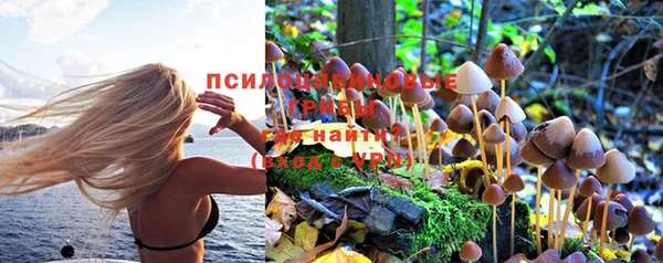соль ск Вязьма