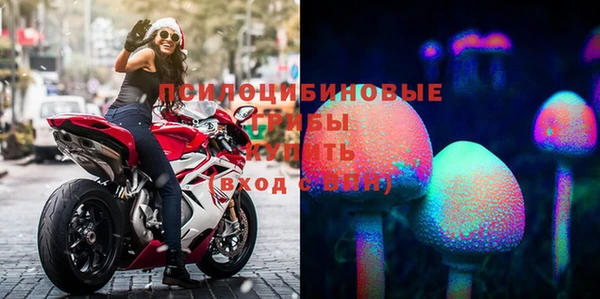 соль ск Вязьма