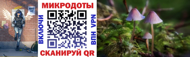 цены наркотик kraken онион Псилоцибиновые грибы Magic Shrooms Луховицы